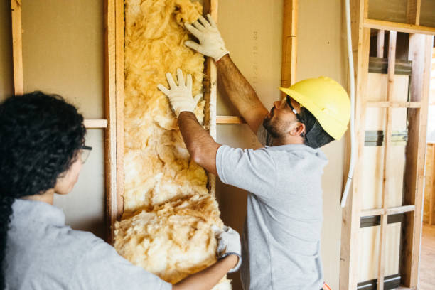 Insulation Contractors for Homes in Bradley, IL