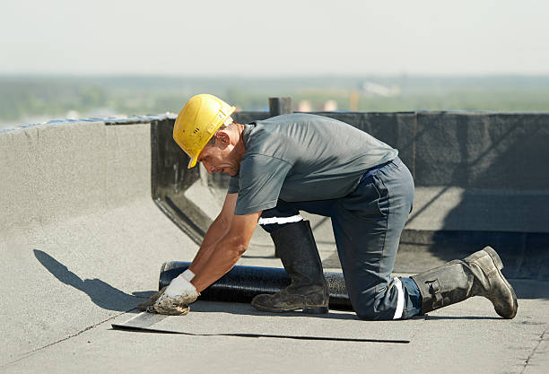 Best Insulation for New Construction  in Bradley, IL